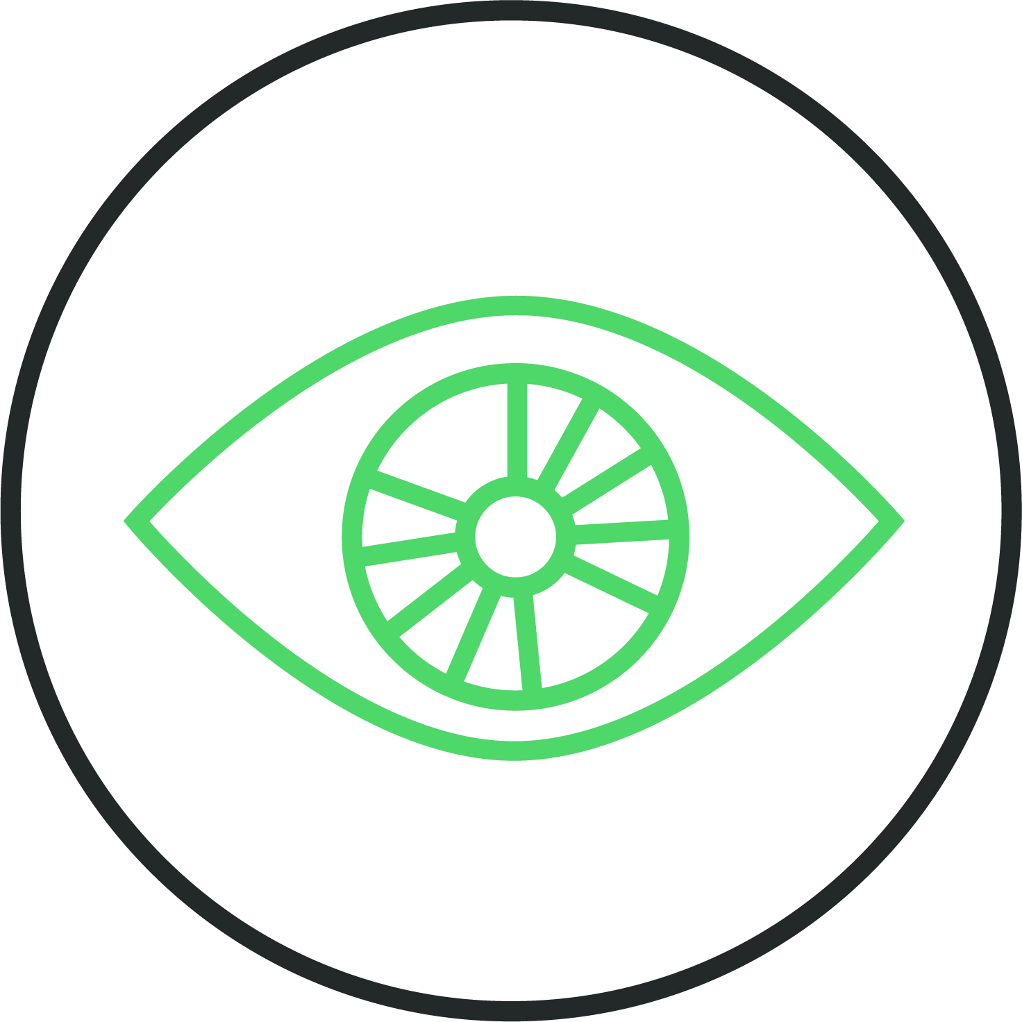 Holistic View Holistic View