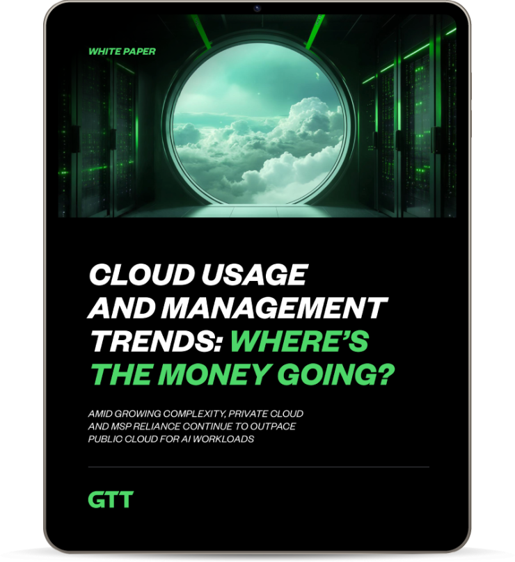 Cloud Usage and Management Trends cover
