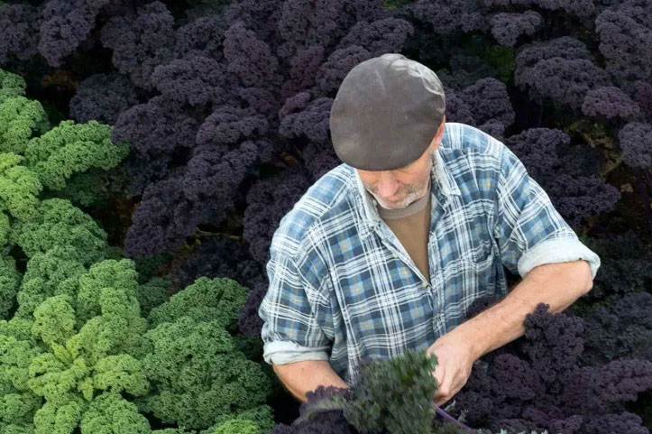 Greenyard case study feature