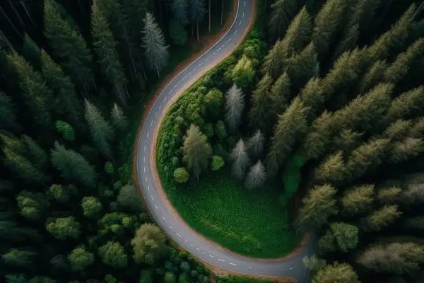 How a Single Backbone Beats a Patchwork Network